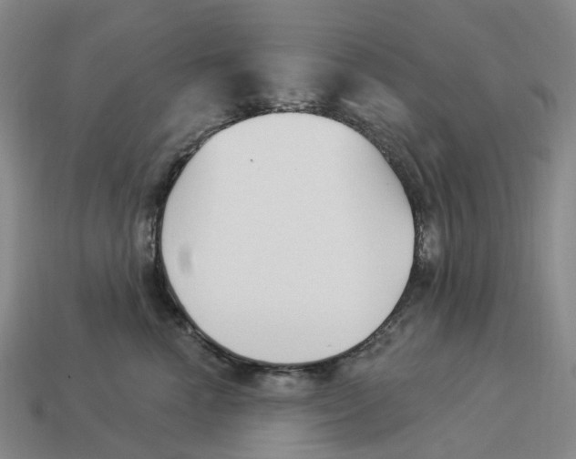 X0000114240666200911061549