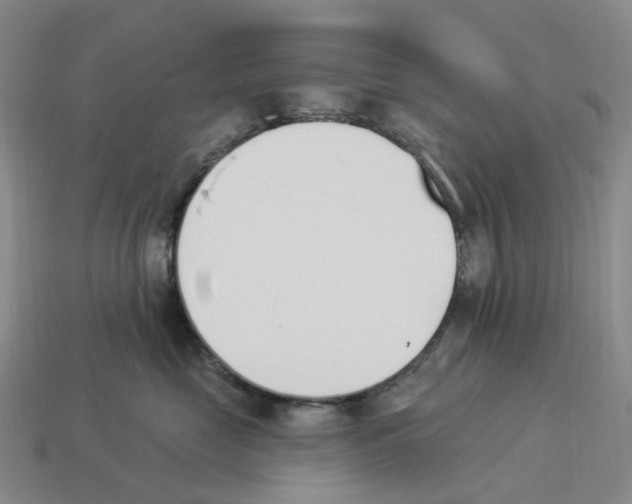 X0000114240669200911061549