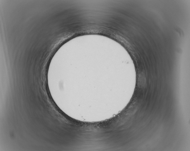 X0000114240673200911061548