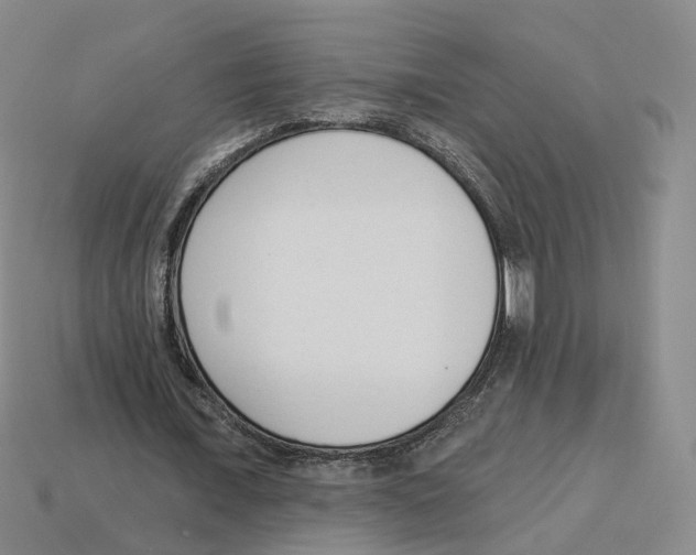 X0000114240675200911061548