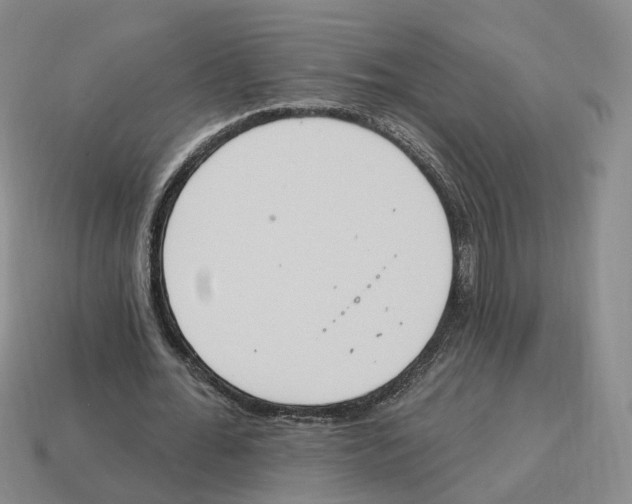 X0000114240676200911061548