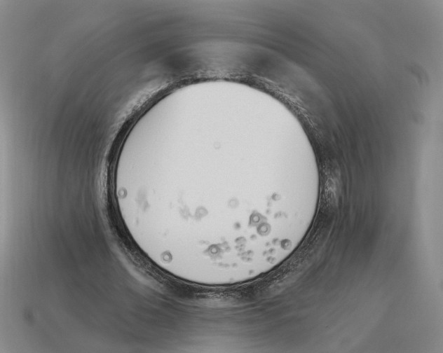 X0000114240678200911061548