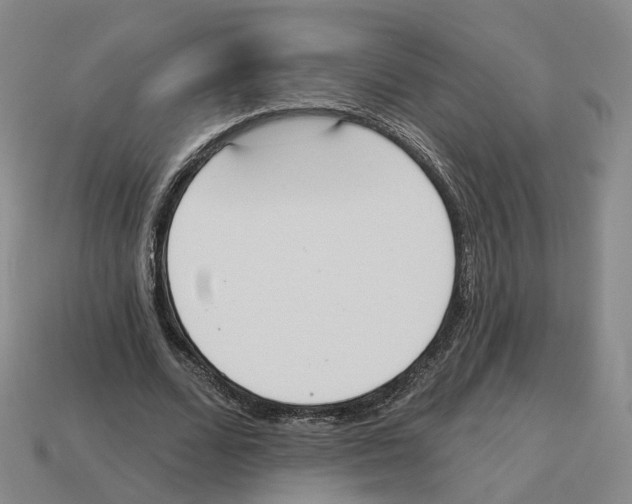 X0000114240680200911061548