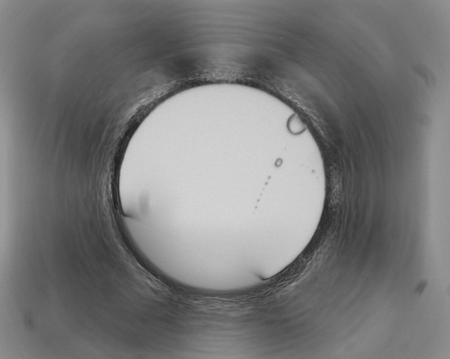X0000114240681200911061548