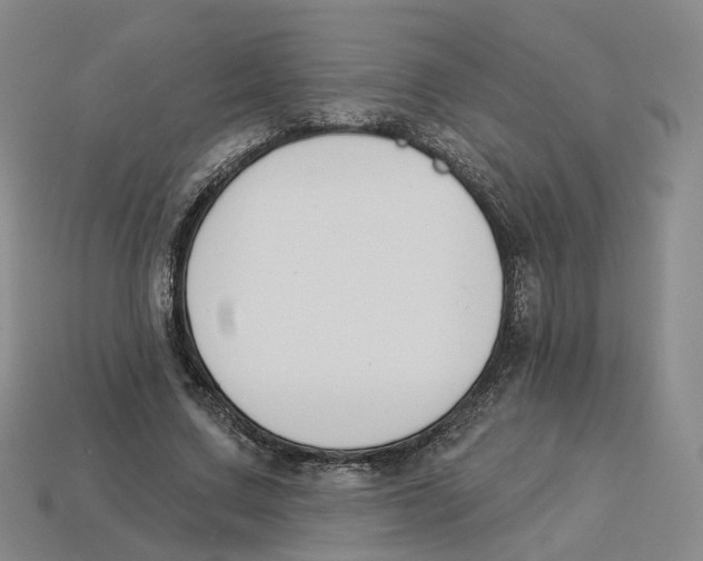 X0000114240683200911061548