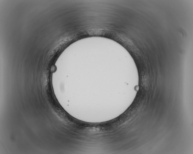 X0000114240687200911061548