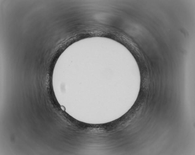 X0000114240689200911061548