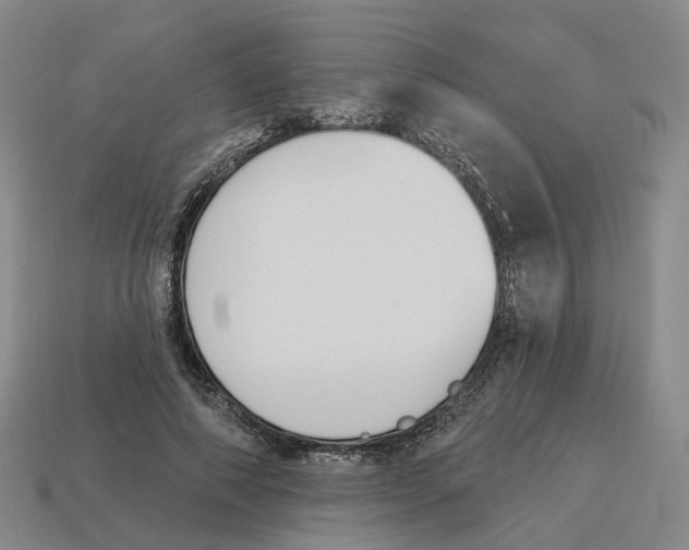 X0000114240690200911061548
