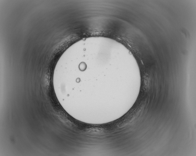 X0000114240691200911061548