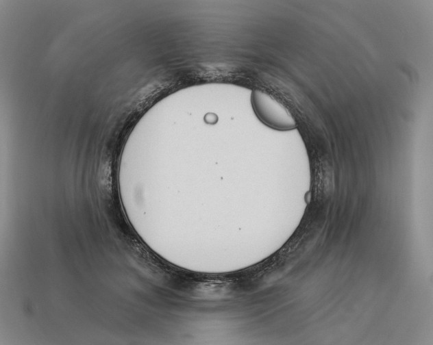 X0000114240700200911061548