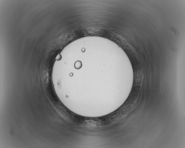X0000114240703200911061548