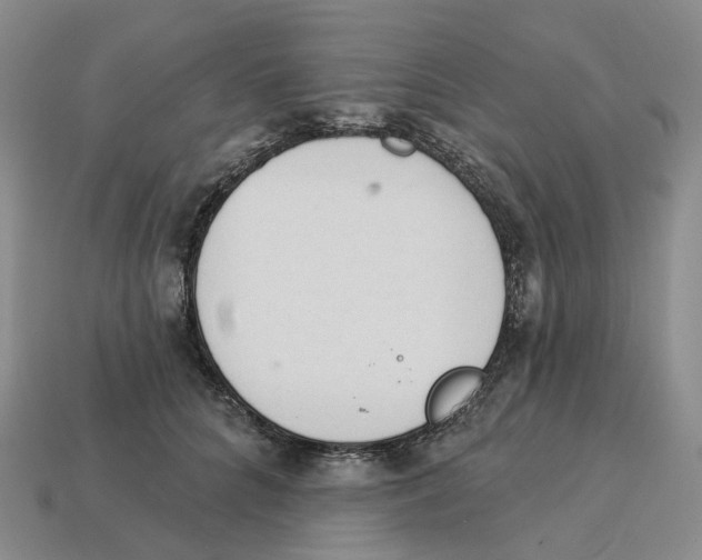 X0000114240704200911061548