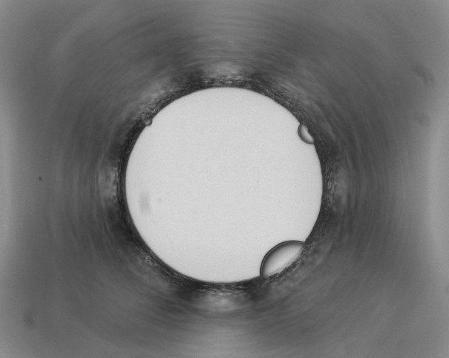 X0000114240708200911061548