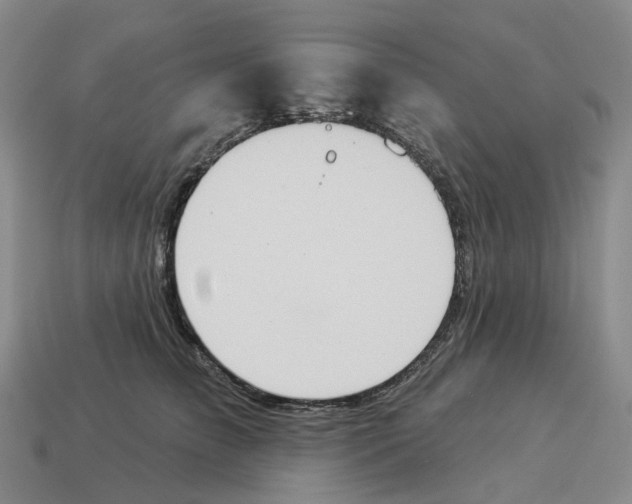 X0000114240709200911061548