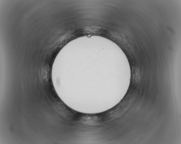 X0000114240712200911061548