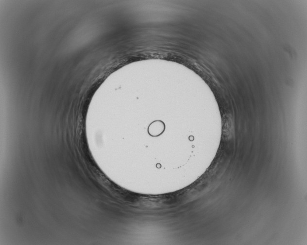 X0000114240713200911061548