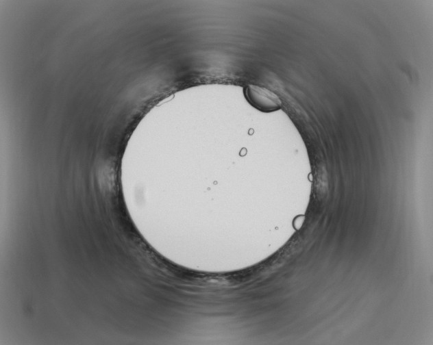 X0000114240715200911061548