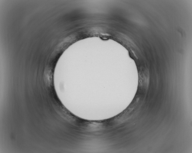 X0000114240718200911061548