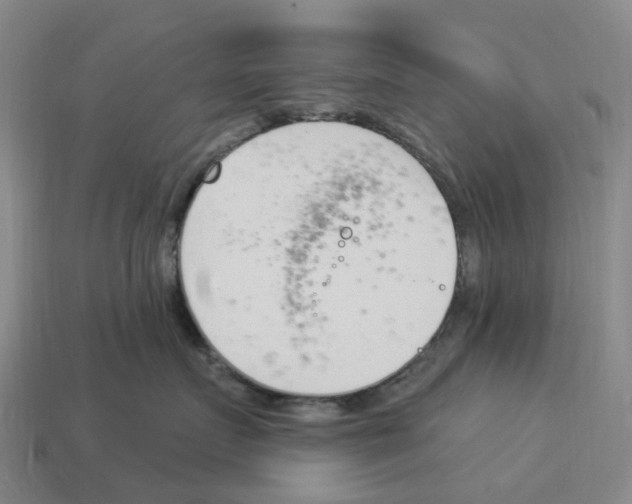 X0000114240719200911061548
