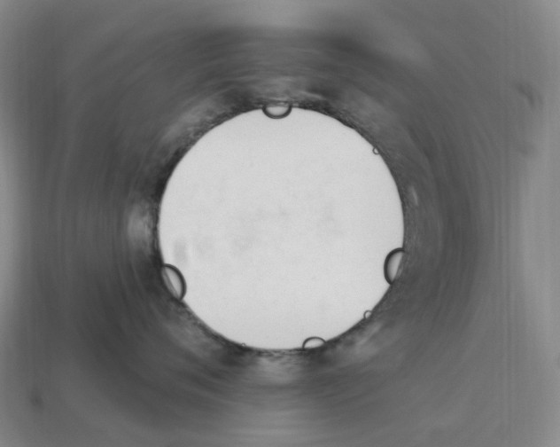 X0000114240720200911061548