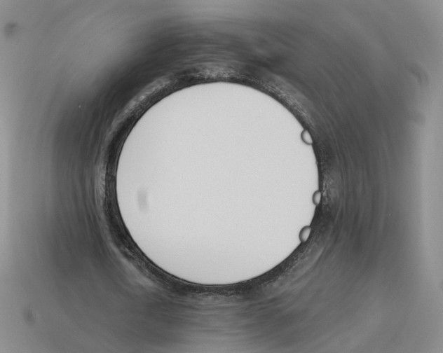 X0000114240722200911061547