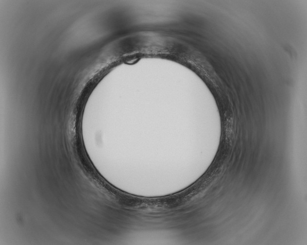 X0000114240727200911061547