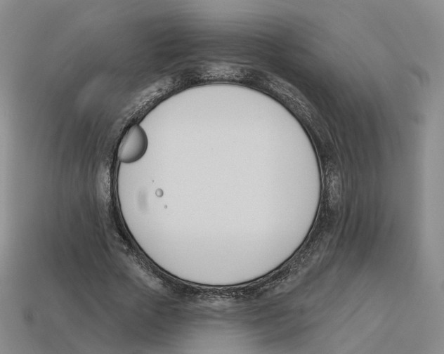 X0000114240729200911061547