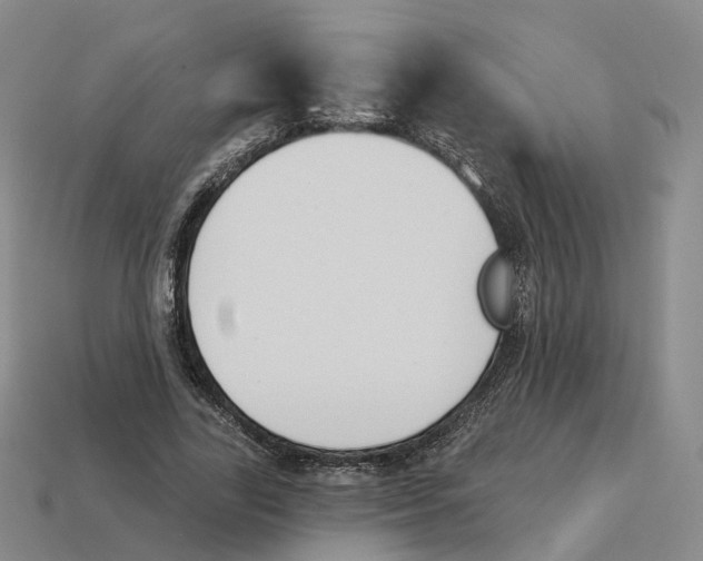 X0000114240731200911061547