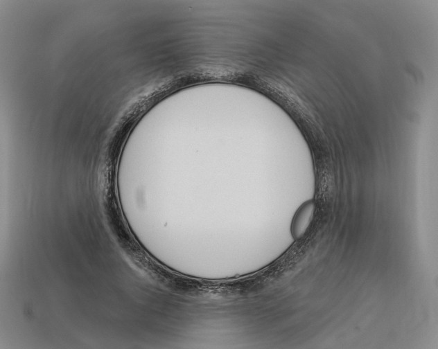 X0000114240736200911061547