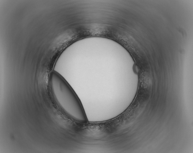 X0000114240740200911061547