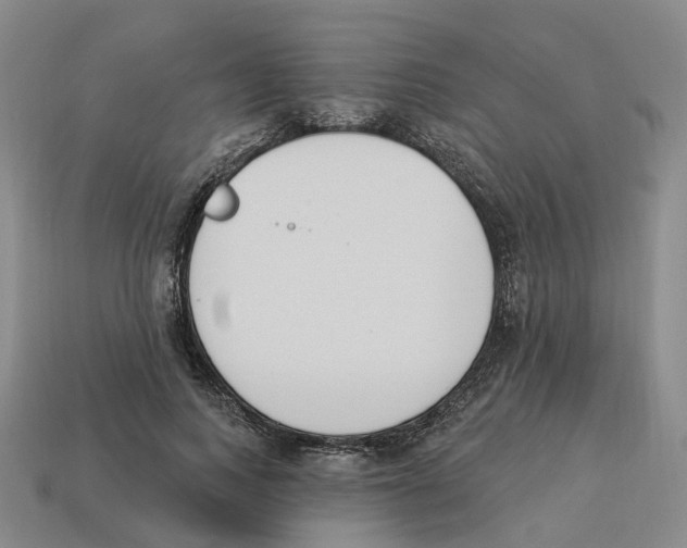 X0000114240743200911061547
