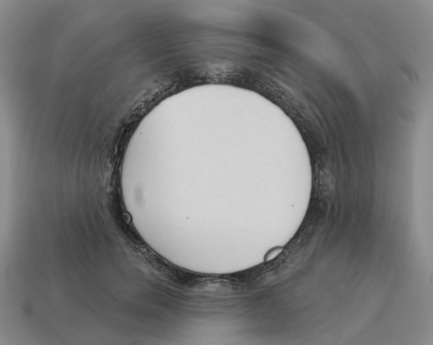 X0000114240750200911061547