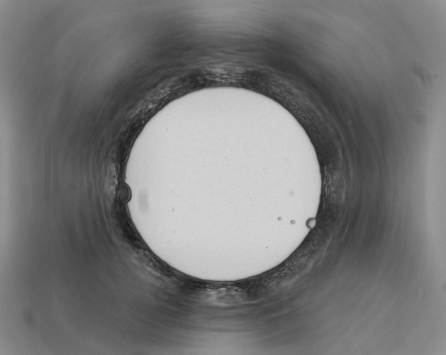 X0000114240752200911061547