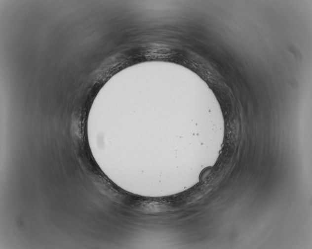 X0000114240755200911061547