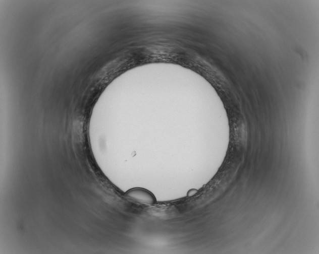 X0000114240757200911061547