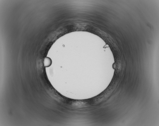 X0000114240759200911061547