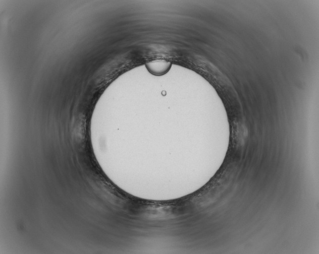 X0000114240760200911061547
