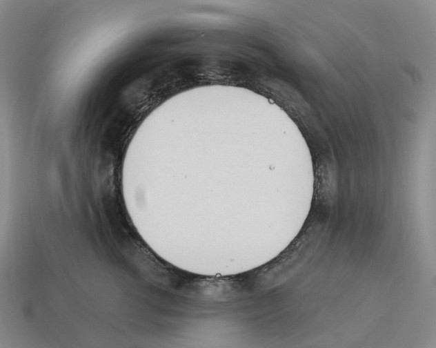 X0000114240762200911061547