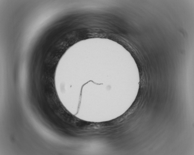 X0000114240764200911061548