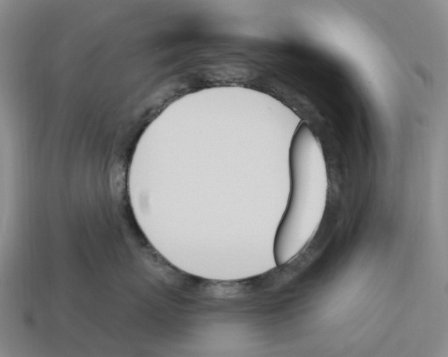 X0000114240767200911061548