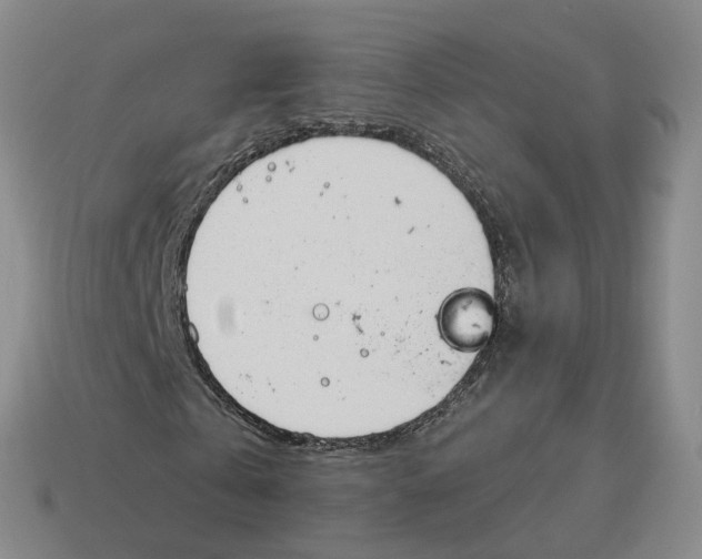 X0000114240769200911061547