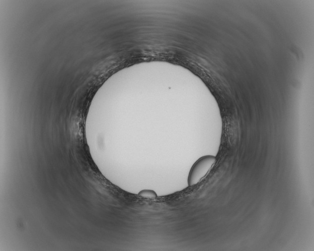 X0000114240770200911061547