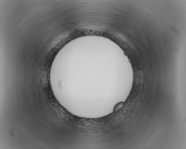 X0000114240774200911061547