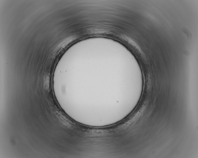X0000114240777200911061547
