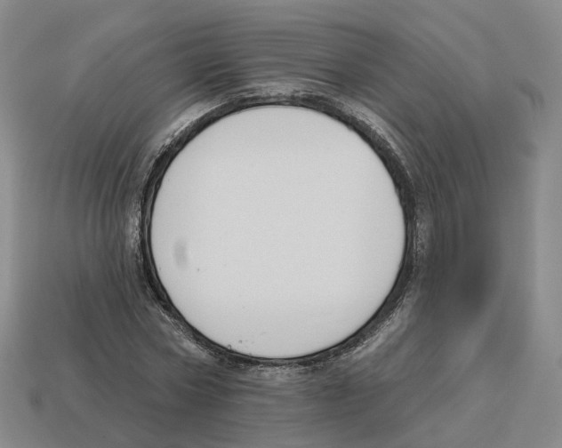 X0000114240778200911061547