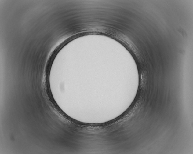 X0000114240780200911061547