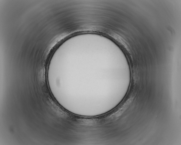 X0000114240781200911061547