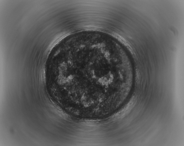 X0000114240782200911061547