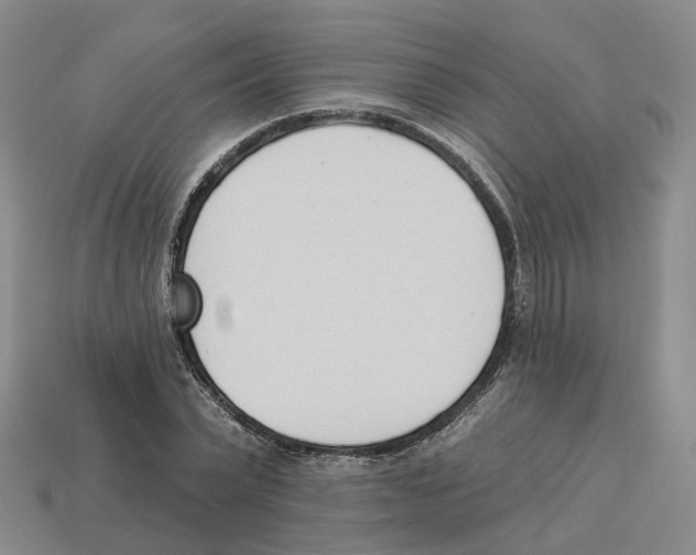 X0000114240783200911061547