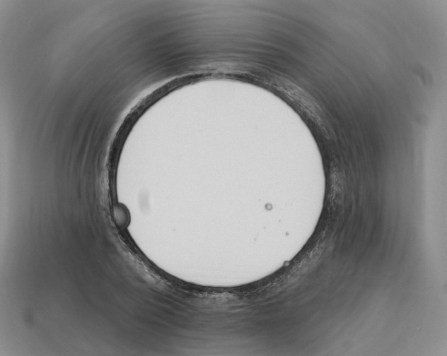 X0000114240784200911061547